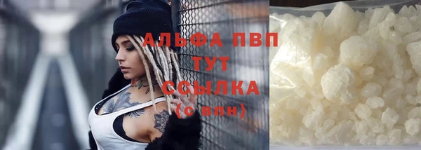 сатива Кострома