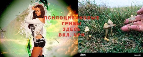 МДПВ Мурманск