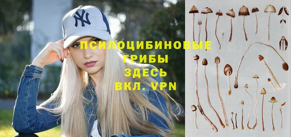 MDMA Premium VHQ Медногорск