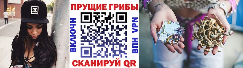Псилоцибиновые грибы ЛСД  где продают наркотики  Вилюйск 